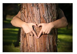 heart shaped hands on tree